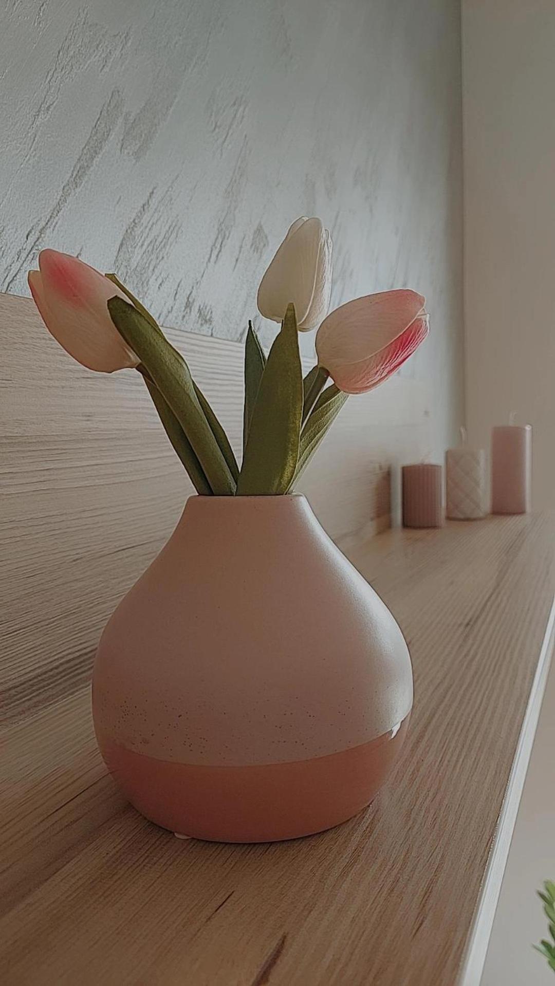 Sunray Apartman Požarevac 외부 사진